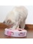 Elektrikli Kedi Oyuncak ile Tüy Turntable Hareketli Fare Kedi Kaşım Cihazı Için Kesme Cihazı Keskinleştirici Pençe Eğitim Oynama Pet Ürün | Kedi Oyuncakları (Pembe) (Yurt Dışından) 2