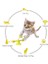 Ilginç Pet Kedi Otomatik Elektrikli Komik Kedi Oyuncaklar Interaktif Pet Yavru Kedi Etkileşimli Eğitim Kedi Oyuncak Tüy Top Oyuncak ile | Kedi Oyuncakları (Yurt Dışından) 3
