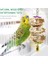 9 Adet / Takım Kuş Papağan Salıncak Oyuncaklar Çiğneme Ayakta Asılı Levrek Hamak Tırmanma Merdiveni Kuş Kafesi Için Budgerigar Parakeet Conure | Kuş Oyuncakları (Yurt Dışından) 4
