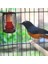 50 W Pet Isıtma Sürüngen Isı Lambası Pet Kafes Isı Yeminli Pet Coop Isıtıcı Kiti Isı Işık Ampul Pet Brooder Tavuklar Sürüngen | Birdcage Standları (Yurt Dışından) 4