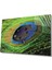 Eliza Home Tavuskuşu Tüy Cam Tablo Peacock 1