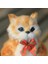 30 cm Elektronik Garfield Kedi Peluş Oyuncak Sevimli Interaktif Müzik Kedi Oyuncak Çocuklar Bebek Çocuk Bebek Komik Doğum Günü Si Doğum Günü Si Peluş Oyuncaklarcat Peluş Oyuncak (Yurt Dışından) 2