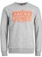 Er Sweat-Shirt Gri 1