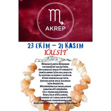 Gümüştel El Sanatları Akrep Burcu Burç Bilekliği