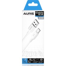 Aurıs CB32 2.1A Type-C 1m Kibrit Kutu Data/şarj Kablosu