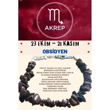 Gümüştel El Sanatları Akrep Burcu Burç Bilekliği