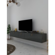 Myniture Home & Living Duvara Monte Tv Sehpası Antrasit S6202-4