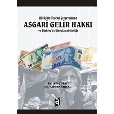 Bölüşüm Teorisi Çerçevesinde Asgari Gelir Hakkı ve Türkiye'de Uygulanabilirliği
