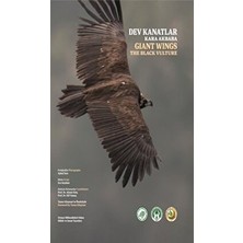 Dev Kanatlar Kara Akbaba