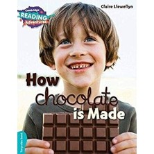 Cambridge University Press How Chocolate Is Made