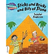 Cambridge University Press Sticks and Bricks and Bits Of Stone