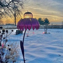 HaiTun Kırmızı Ayakta Kuş Besleyici Dışında Pas Dayanımlı Bahçe Sanat Metal Birdfeeder Güzel Çiçek Bahçe Bahisleri Dekoratif | Kuş Besleme (Yurt Dışından)