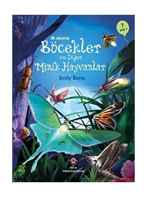 Ilk Okuma - Böcekler ve Diğer Minik Hayvanlar