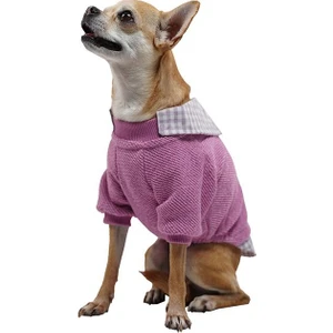 Pembe College Triko Sweat Kedi Köpek Sweat Kedi Köpek Kıyafeti