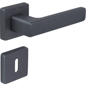 Kapı Kolu Zıpp C5219 MP67 Çizgili Root Oda Kapı Kolu