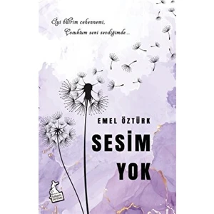 Sesim Yok