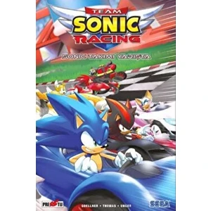 Kirpi Sonic: Sonic Takımı Yarışta