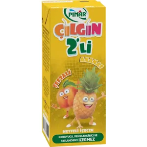 Çılgın İkili Şeftali Ananas 200 ml
