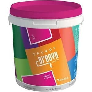 Tavan Boyası 20 Kg