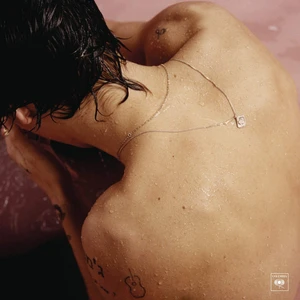 Gereksiz Şeyler Harry Styles Harry Styles Plak