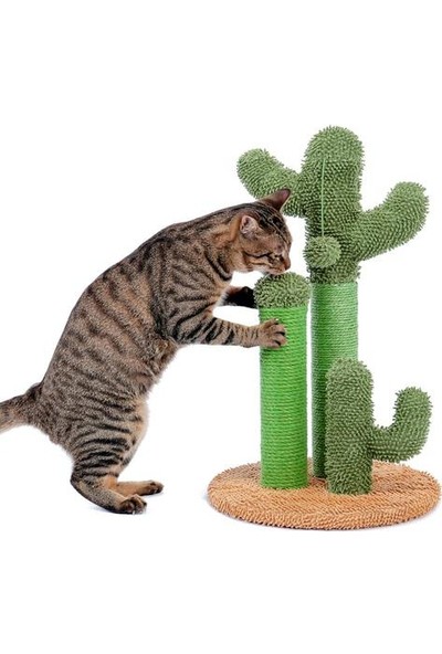 HaiTun Kaktüs Kedi Tırmanma Çerçevesi Tırlanma Sonrası Pet Sisal Kedi Oyuncak (Yurt Dışından)