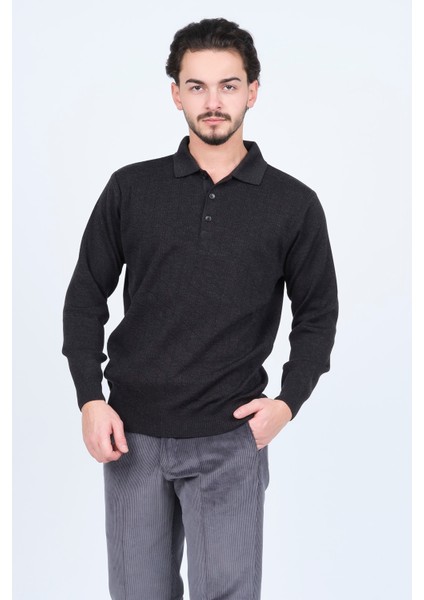 Woolen World Erkek Desenli Polo Yaka Triko Yün Kazak 5597141 Antrasit