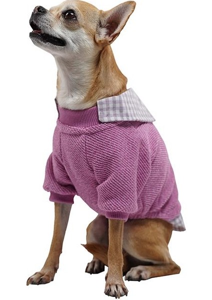 Pembe College Triko Sweat Kedi Köpek Sweat Kedi Köpek Kıyafeti
