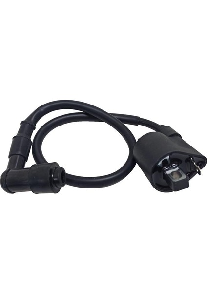 Dış Bobin + Buji Başlığı 125CC Cg - Sfc Jantel