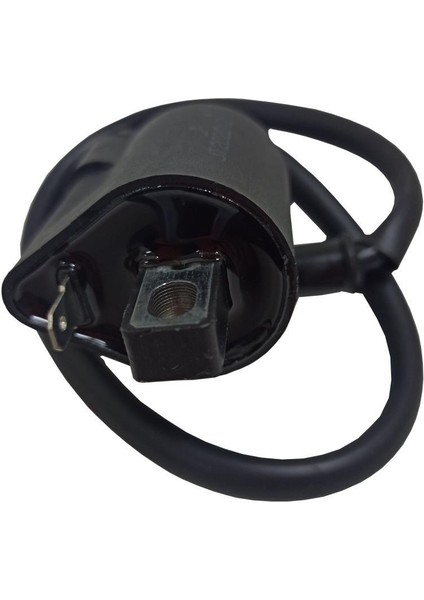 Dış Bobin + Buji Başlığı 125CC Cg - Sfc Jantel modelleri