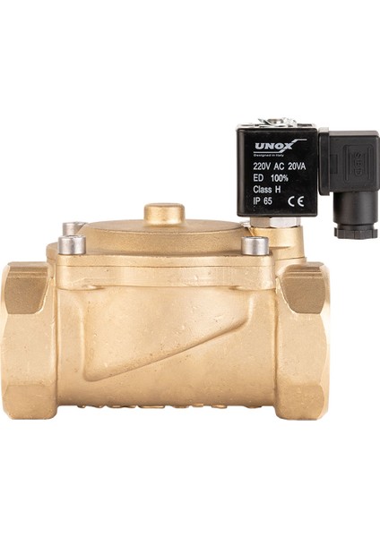 220V AC Buhar Normalde Kapalı Solenoid Valf (0,5-6 BAR)