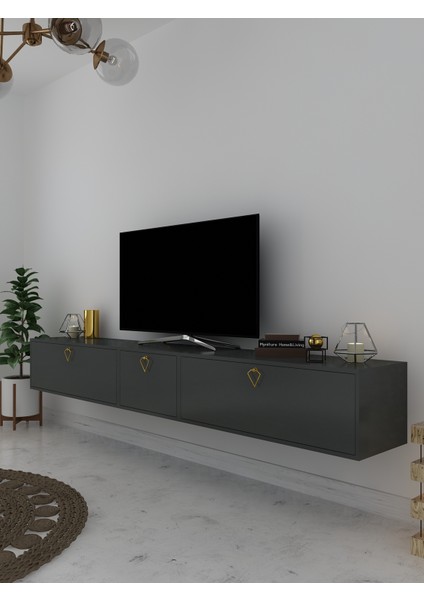 Myniture Home & Living Duvara Monte Tv Sehpası Antrasit S6202-4