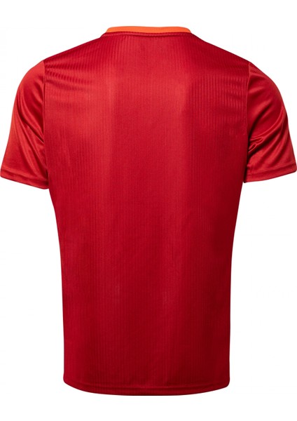 Erkek Performans Tişört TSM2215-RED fiyatları