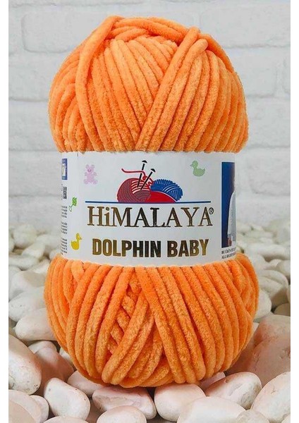 Dolphin Baby