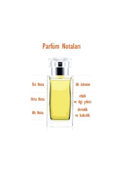 Parfumjet Top Woman Açık Parfüm