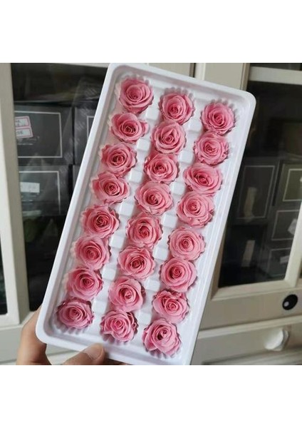 2 cm / 24 Adet, Mini Korunmuş Gül Kafası, Düğün Parti Ev Dekorasyon Aksesuarları Için Ebedi Gerçek Güller, Anneler Günü Hediyesi | Yapay ve kurutulmuş Çiçekler (Yurt Dışından)