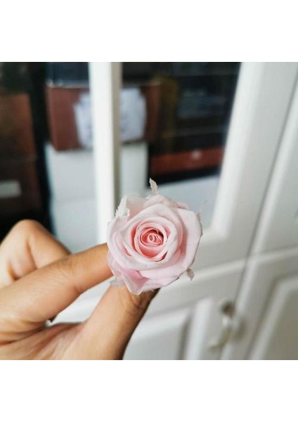 2 cm / 24 Adet, Mini Korunmuş Gül Kafası, Düğün Parti Ev Dekorasyon Aksesuarları Için Ebedi Gerçek Güller, Anneler Günü Hediyesi | Yapay ve kurutulmuş Çiçekler (Yurt Dışından)