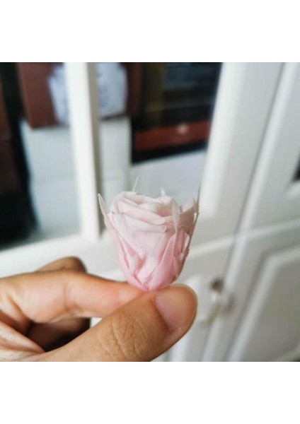 2 cm / 24 Adet, Mini Korunmuş Gül Kafası, Düğün Parti Ev Dekorasyon Aksesuarları Için Ebedi Gerçek Güller, Anneler Günü Hediyesi | Yapay ve kurutulmuş Çiçekler (Yurt Dışından)