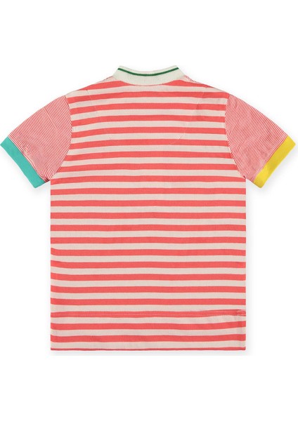 Erkek Çocuk Tshirt fiyatları