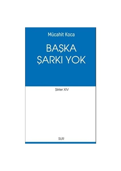Başka Şarkı Yok