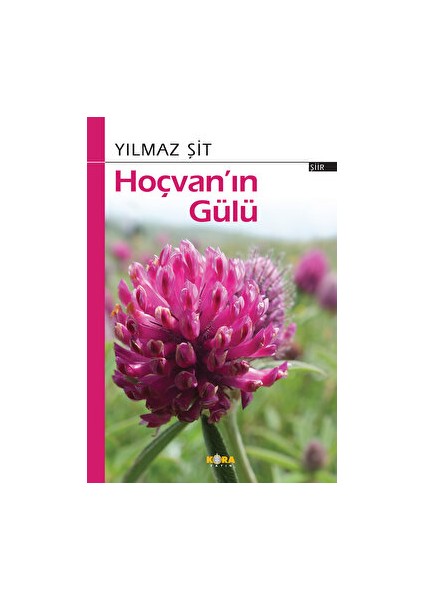 Hoçvan’ın Gülü