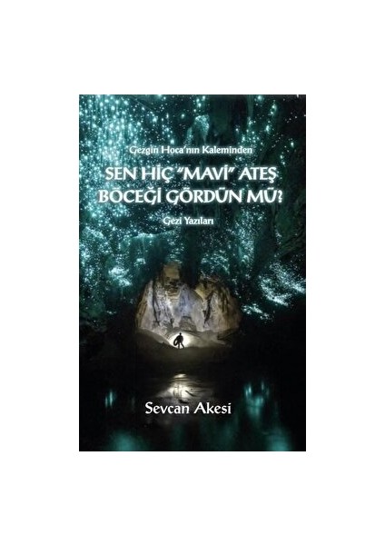 Sen Hiç Mavi Ateş Böceği Gördün Mü?