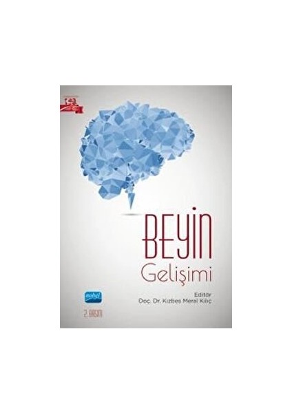 Beyin Gelişimi