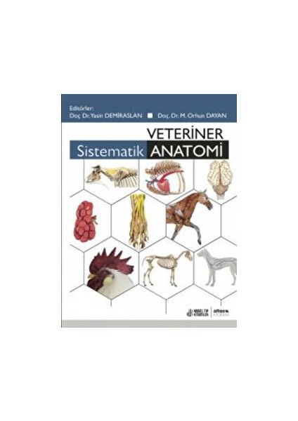 Veteriner Sistematik Anatomi