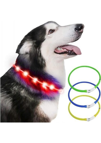 LED Köpek Yaka Yanıp Sönen LED Işık USB Pet Açık Gece Için Şarj Edilebilir (Kırmızı) (Yurt Dışından)