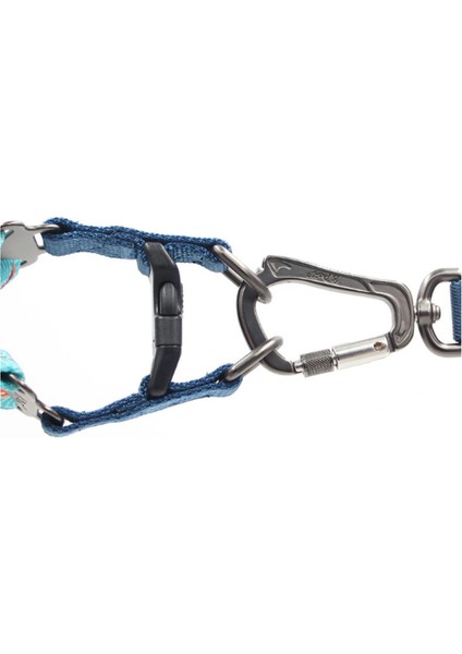 Pet Köpek Koşum Ayarı Küçük Orta Büyük Köpekler Eğitim Için Renkli Kolay Kontrol Kolu Eğitim Yok Yelek Koşum | Koşumlar (Mavi) (Yurt Dışından) modelleri