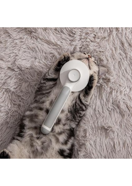 Köpekler Için Epilasyon Tarak Kedi Detangler Kürk Kırpma Dematting Deshedding Fırça Aracı (Gri) (Yurt Dışından) modelleri