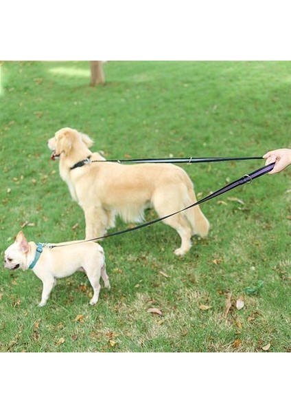3m Çok Fonksiyonlu Çekiş Köpek Eğitim Güvenlik Halat Naylon Köpek Tasma Pet Çekme Dış Köpek Pet Çekme Için Pet Çekme Pet Çekme Tasma | Tasmalar (Yurt Dışından) fiyatları