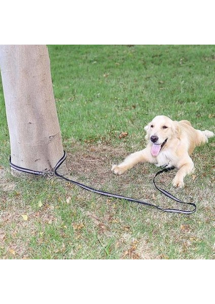 3m Çok Fonksiyonlu Çekiş Köpek Eğitim Güvenlik Halat Naylon Köpek Tasma Pet Çekme Dış Köpek Pet Çekme Için Pet Çekme Pet Çekme Tasma | Tasmalar (Yurt Dışından) modelleri