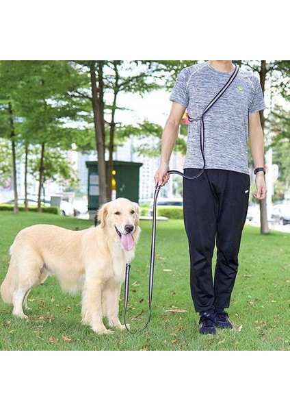 3m Çok Fonksiyonlu Çekiş Köpek Eğitim Güvenlik Halat Naylon Köpek Tasma Pet Çekme Dış Köpek Pet Çekme Için Pet Çekme Pet Çekme Tasma | Tasmalar (Yurt Dışından) fırsatları