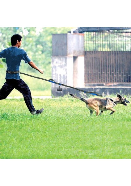 Eller Ücretsiz Köpek Tasma Geri Çekilebilir Bungee Tasma Kurşun Yansıtıcı Çalışma Için Yürüyüş 150 Lbs Büyük Köpekler Dağıtıcı | Tasmalar (Yurt Dışından)